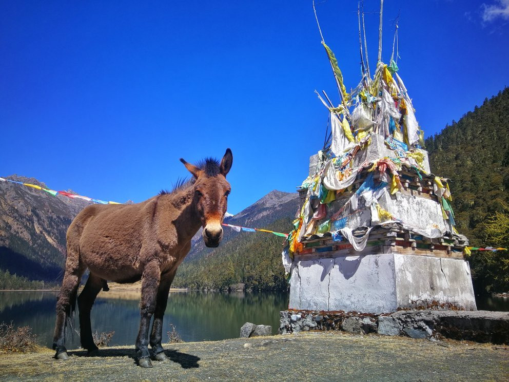 伍须海景点图片