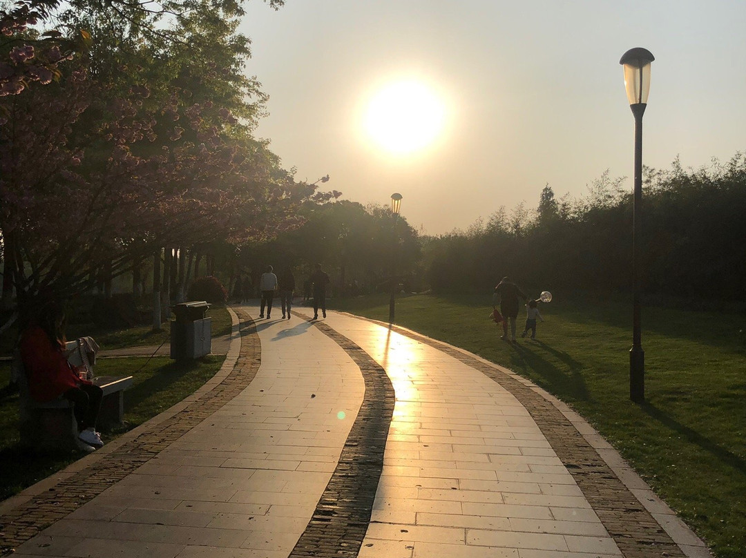 福田湿地公园-义乌市必去景点