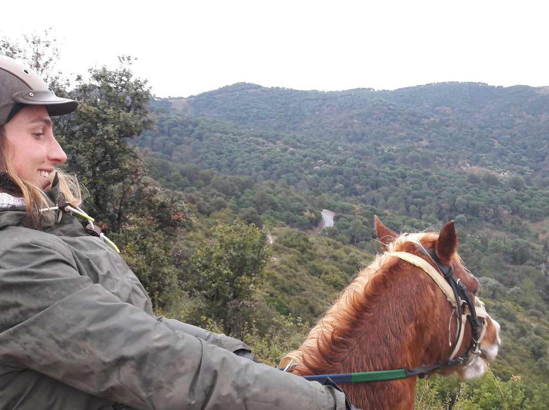 Barcelona Horse Tours景点图片