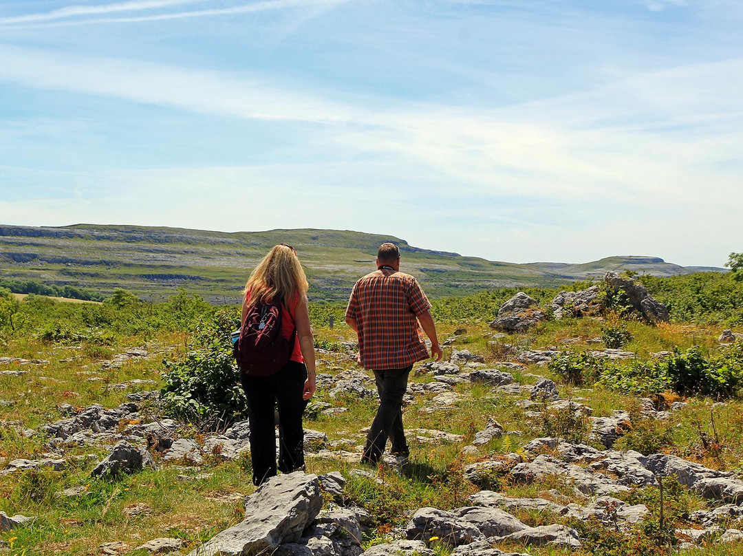 Burren Walks景点图片