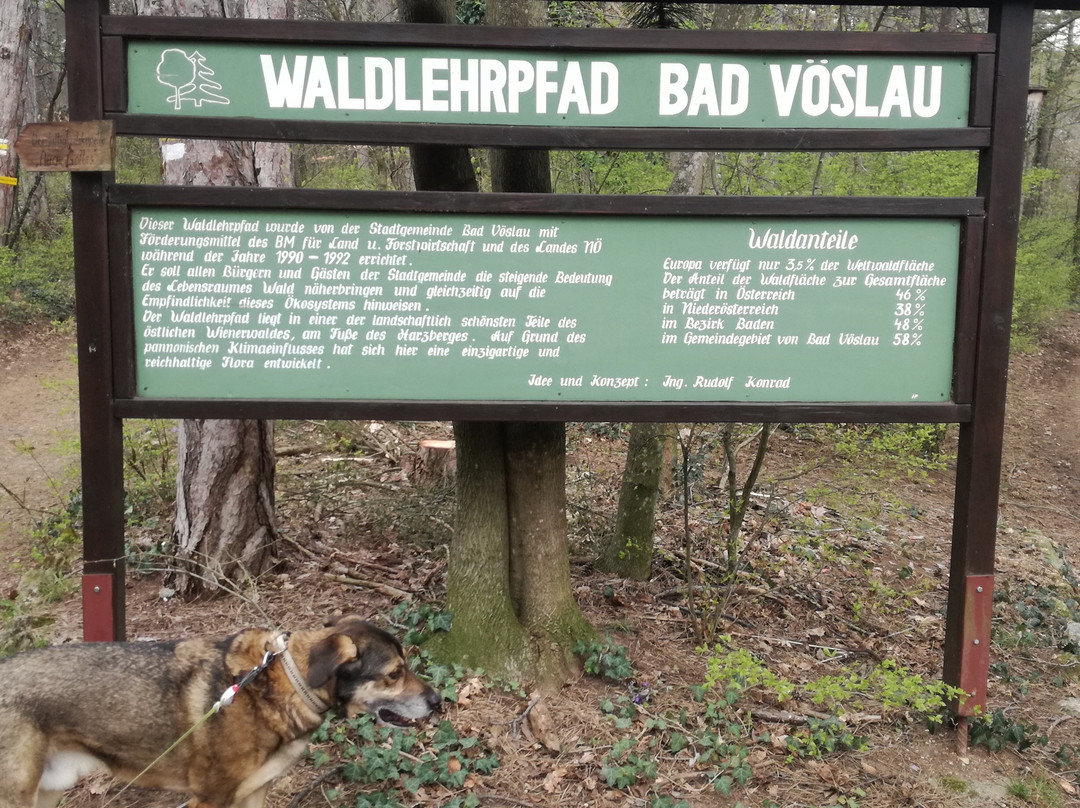 Waldlehrpfad-Bad Voeslau必去景点