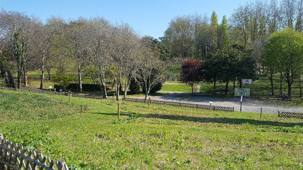 Parc Ducontenia景点图片