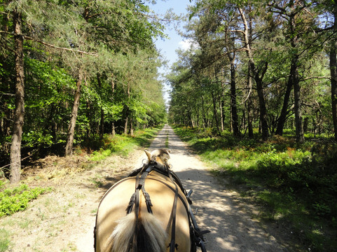 Huifkarcentrum de Kronkel-Hoog-Soeren必去景点