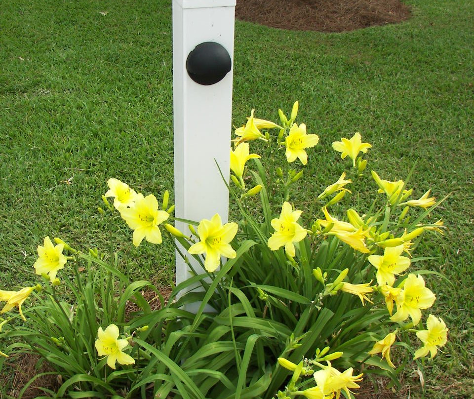 Belhaven Water Street Bed and Breakfast, Ltd.主图