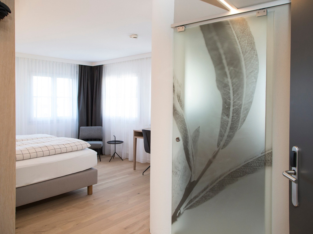 Business und Lifestylehotel Forum Widnau主图