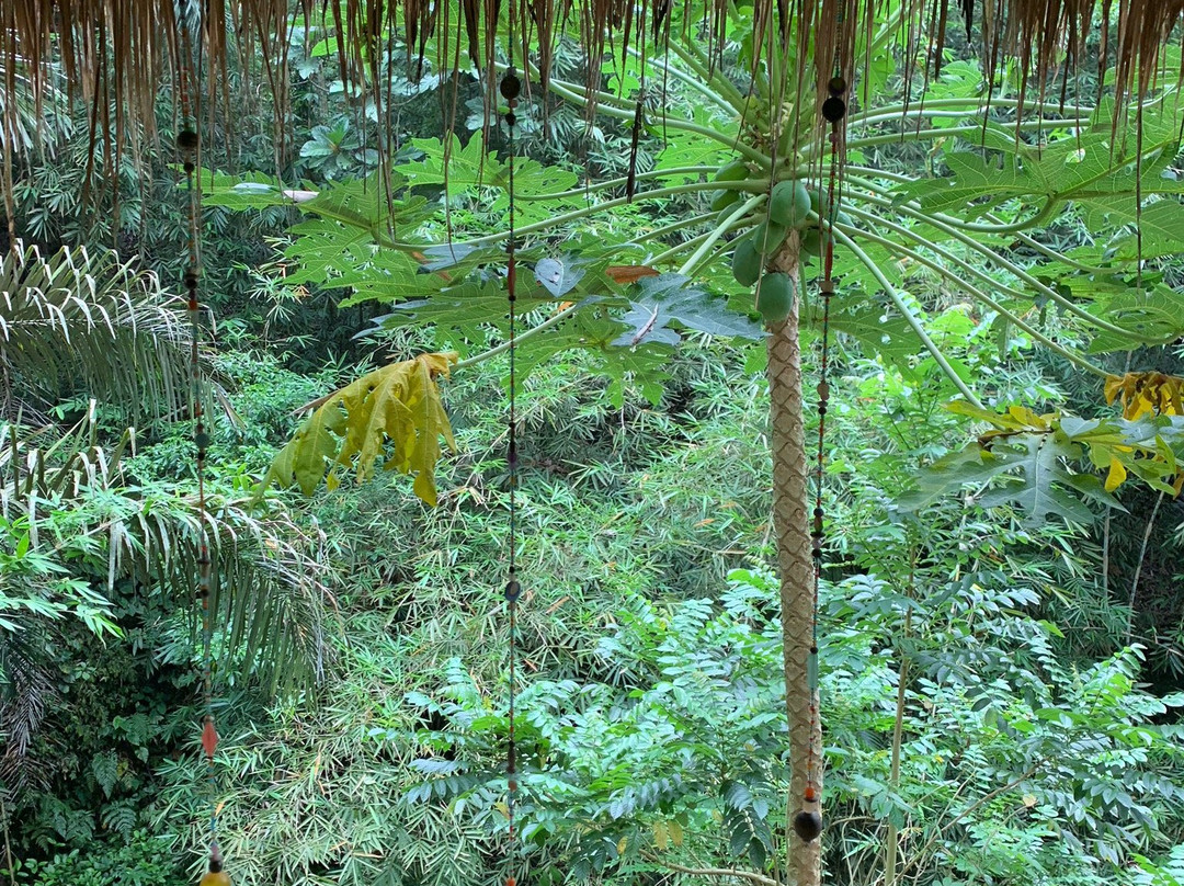 Spa lounge eco-boutique hotel Bali Dacha主图