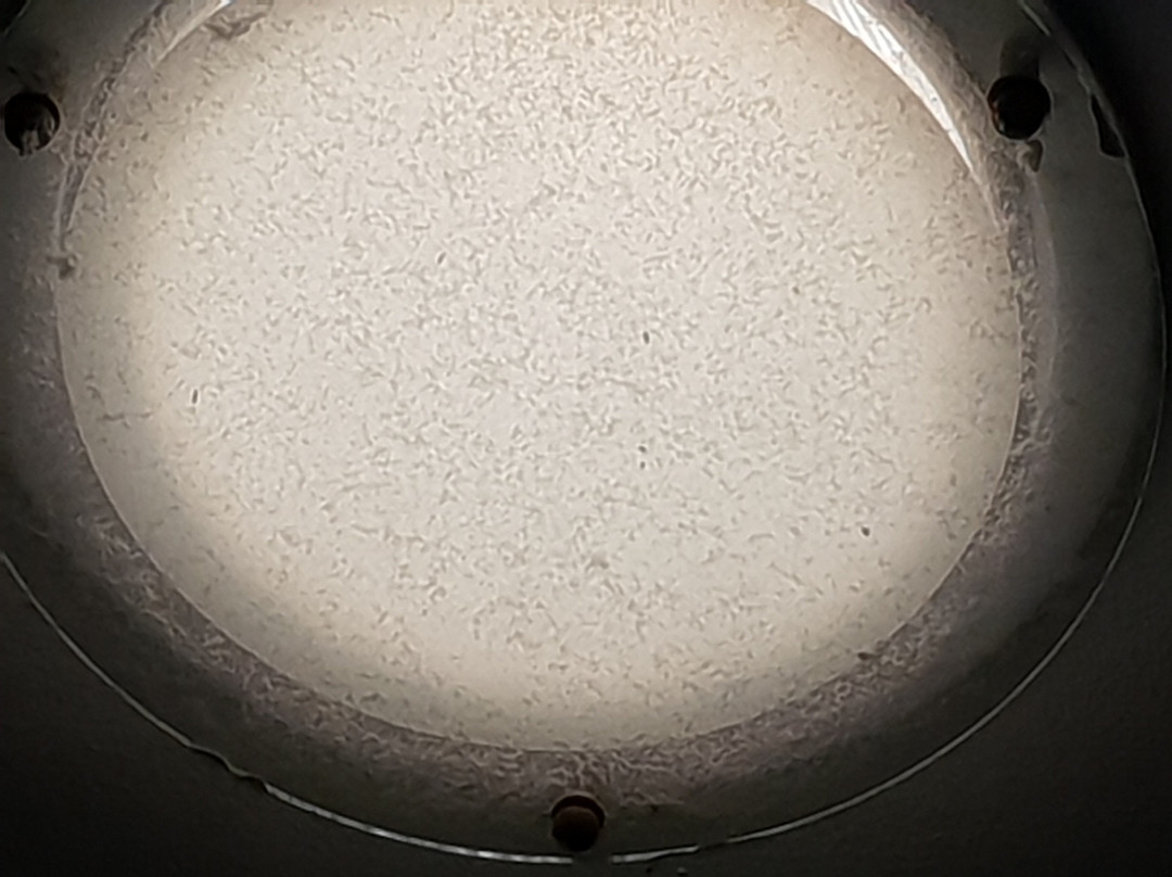 Seacoast INN BALER主图