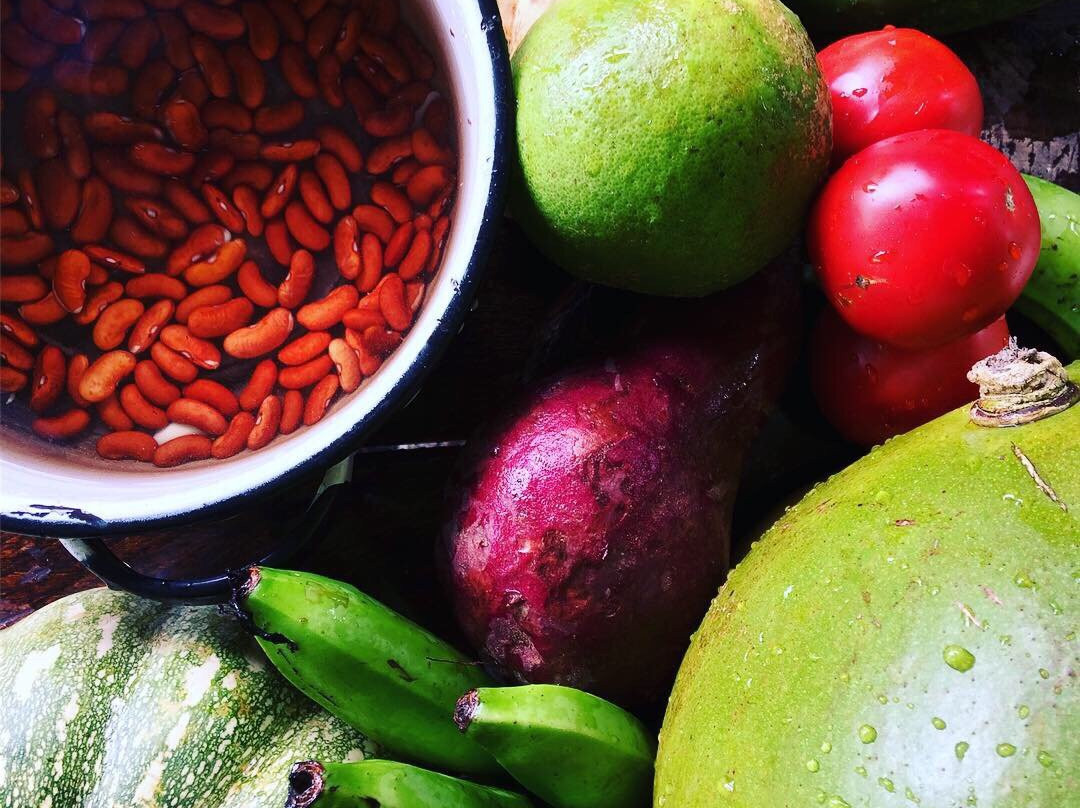 Zion Valley Bed and Breakfast主图