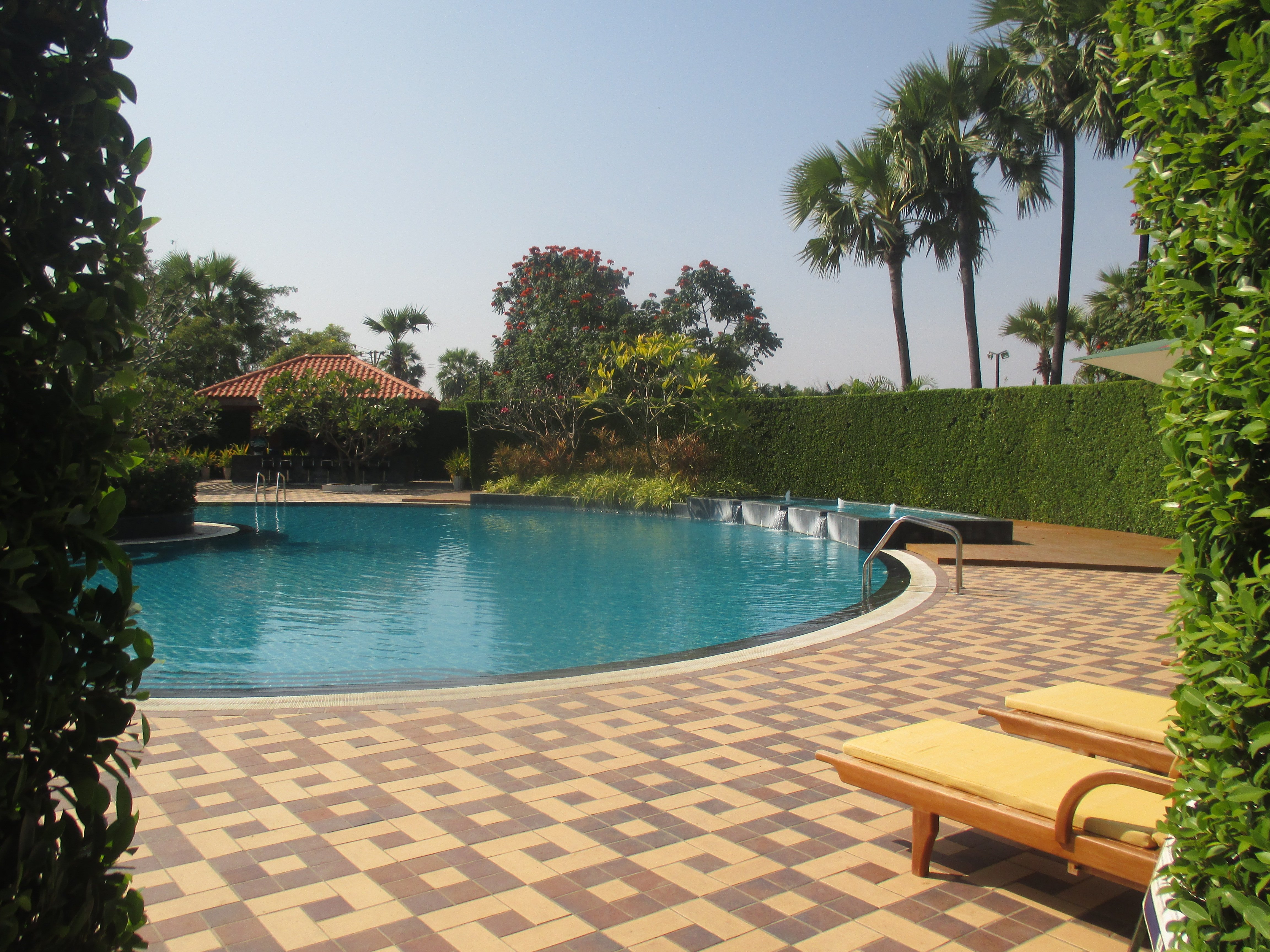 The Regency Hotel-泳池