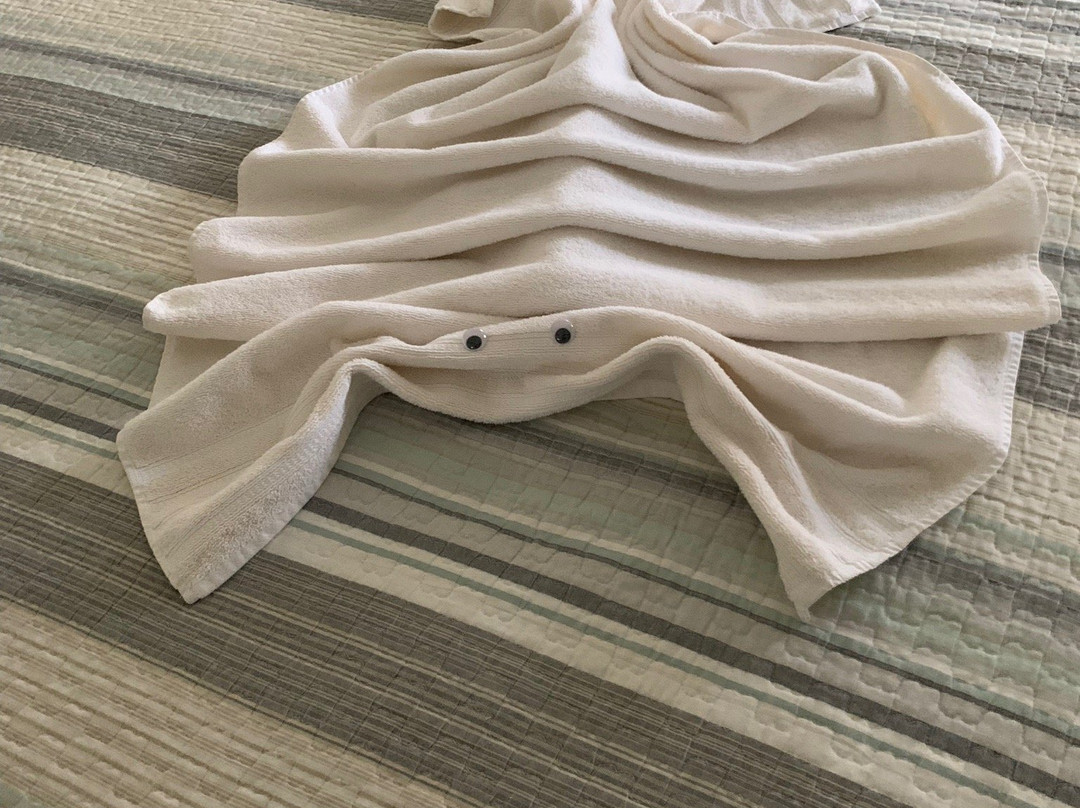 Hibiscus House Bed & Breakfast主图