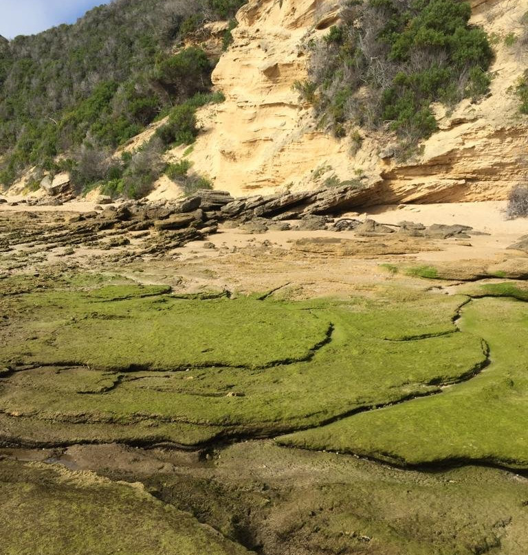 Gerickes Point-Sedgefield必去景点