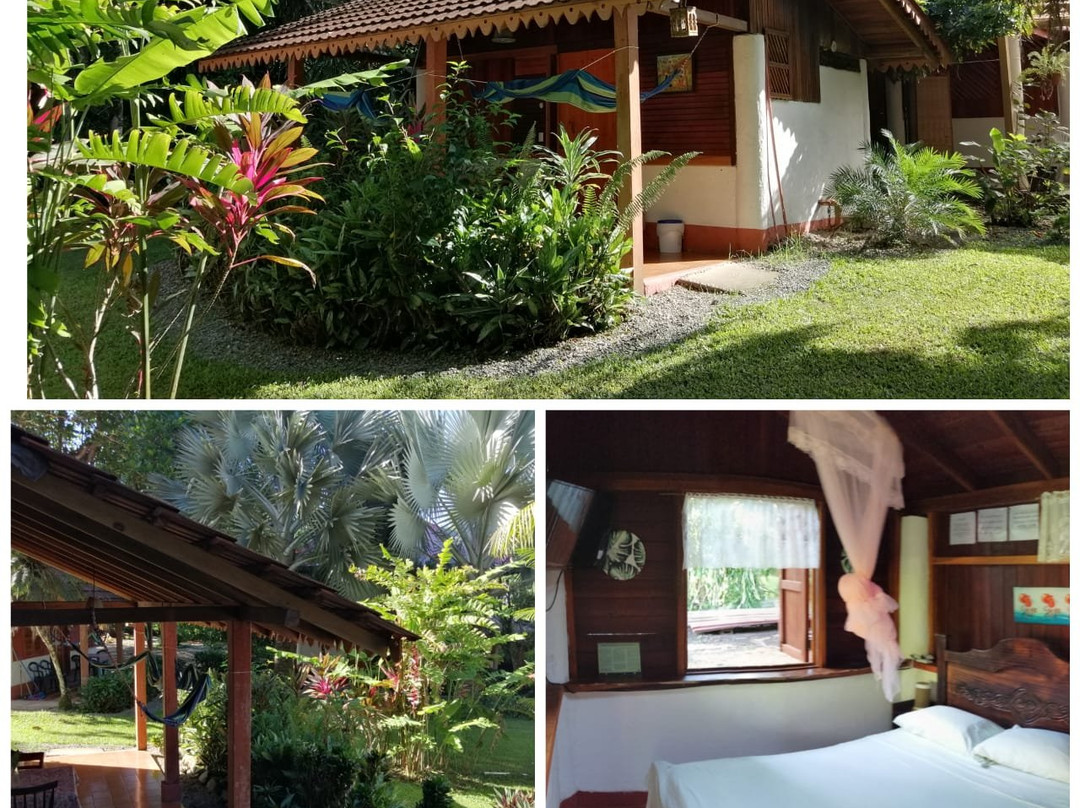 Chalet Hibiscus主图