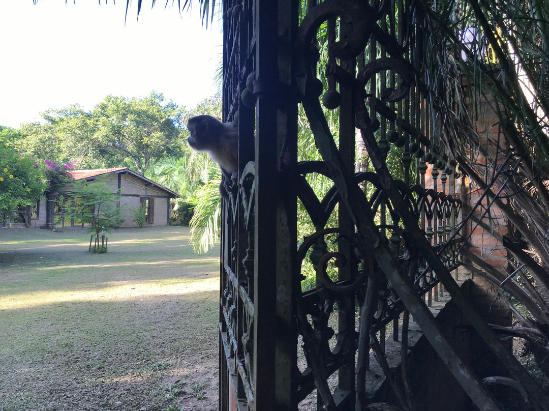 Hotel Santa Esmeralda主图