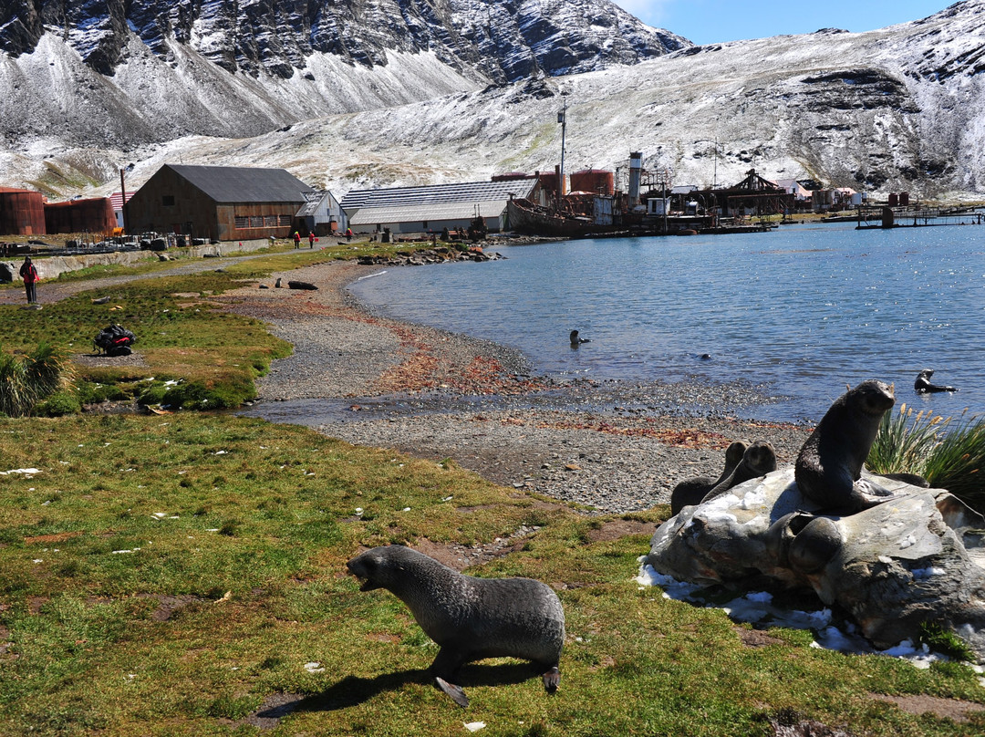 Norwegian Lutheran Church-Grytviken必去景点