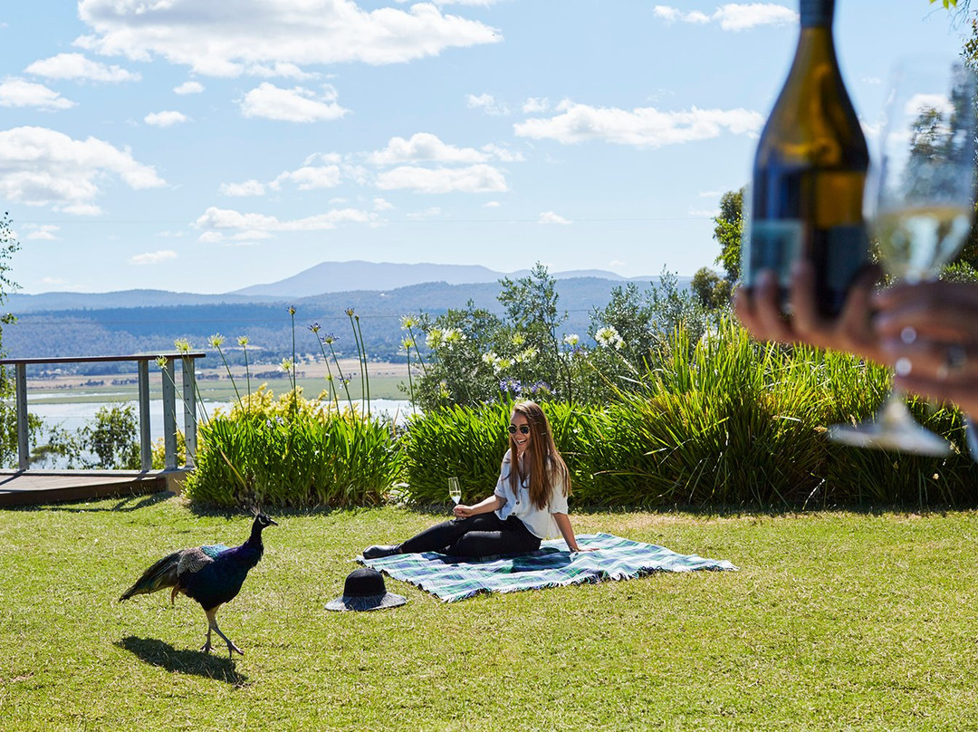 Windermere旅游景点-Tamar Ridge Cellar Door