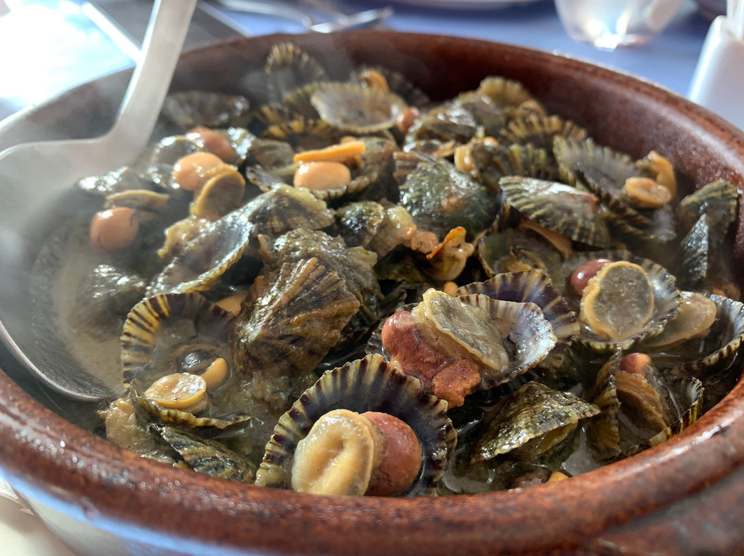 Bar Restaurante Casa Nicasia-比拉维西奥萨必去景点
