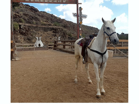 Horseland-San Bartolome de Tirajana必去景点