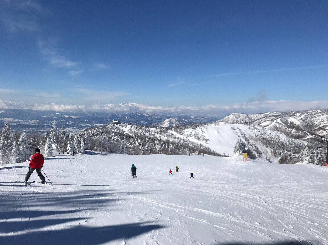 Shiga Kogen Ski Area景点图片