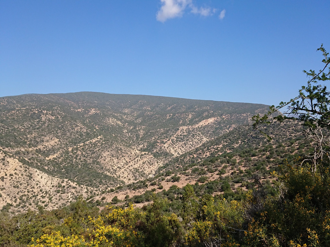 Tayyu Hiking-Taghazout必去景点