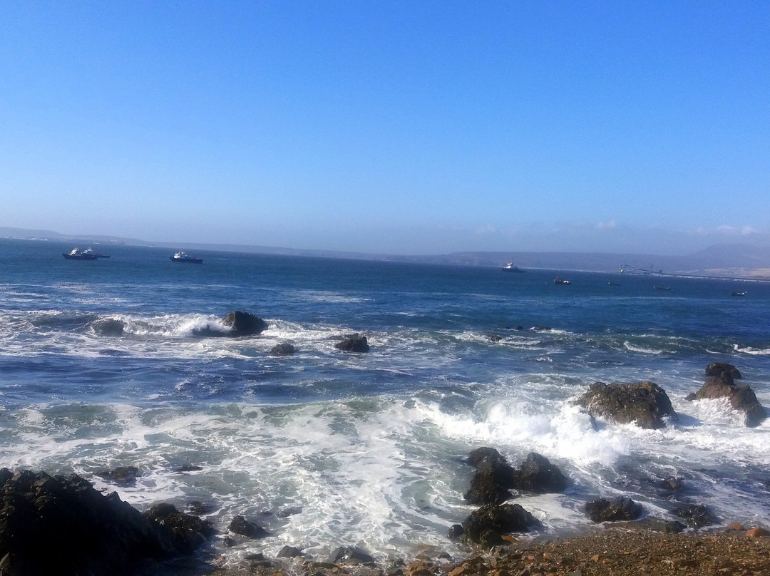 Hotel Lord Willow主图