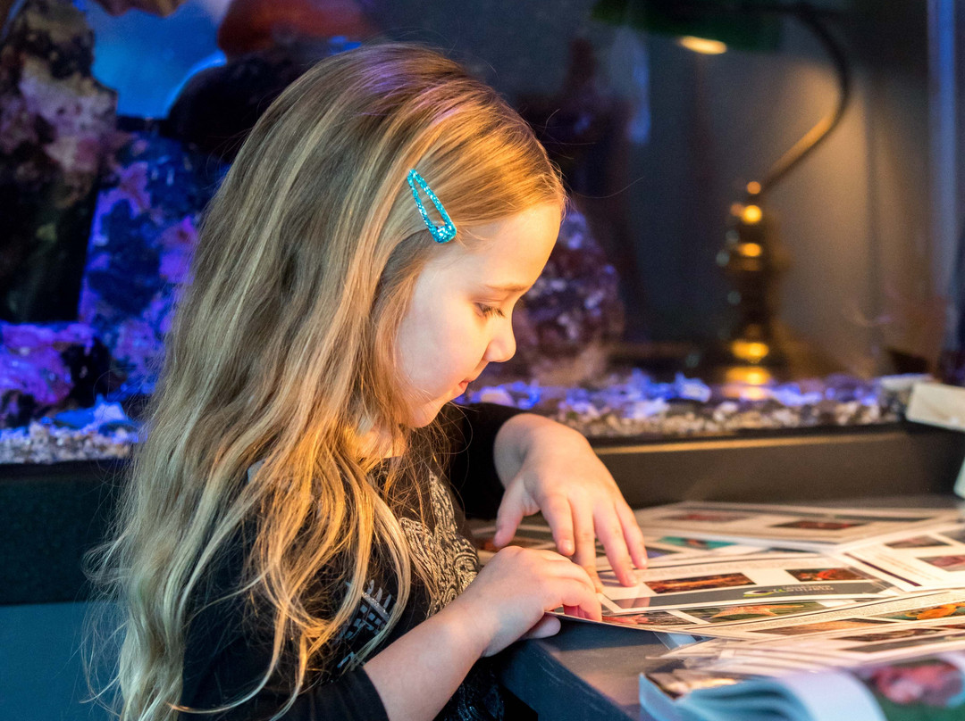 Tidepools Aquarium-吉布森斯必去景点