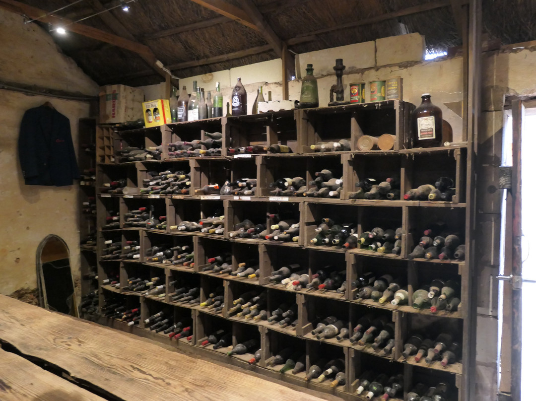 Brand's Laira-Coonawarra必去景点