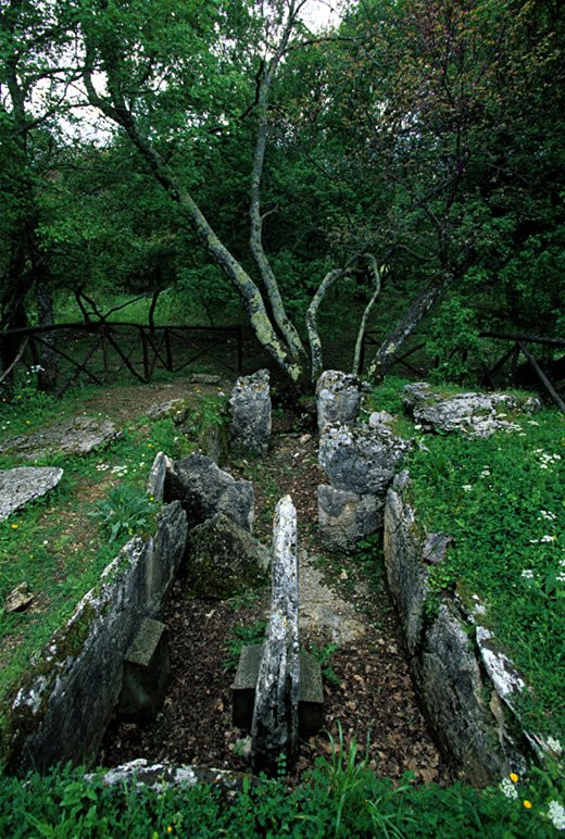 Necropoli del Puntone景点图片
