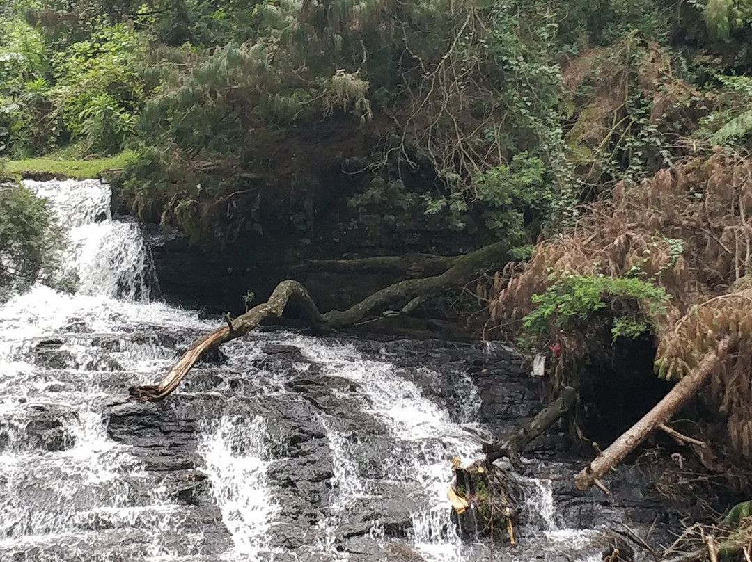 Vattakanal Waterfalls景点图片