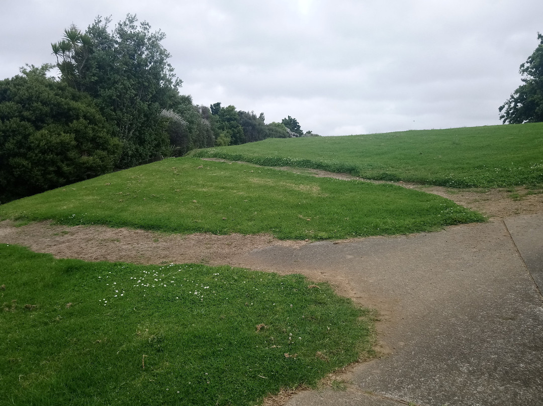 Lloyd Elsmore Park-Howick必去景点