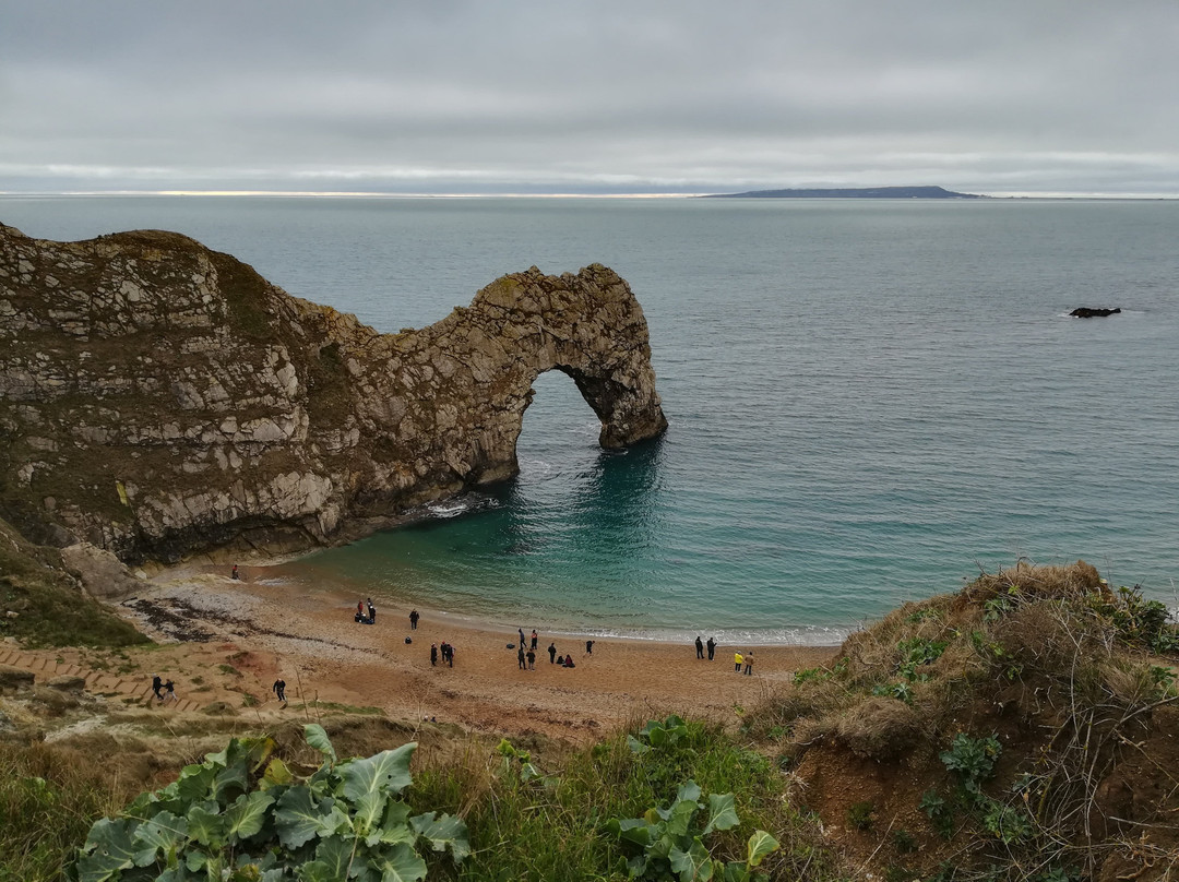 Discover Dorset Tours景点图片