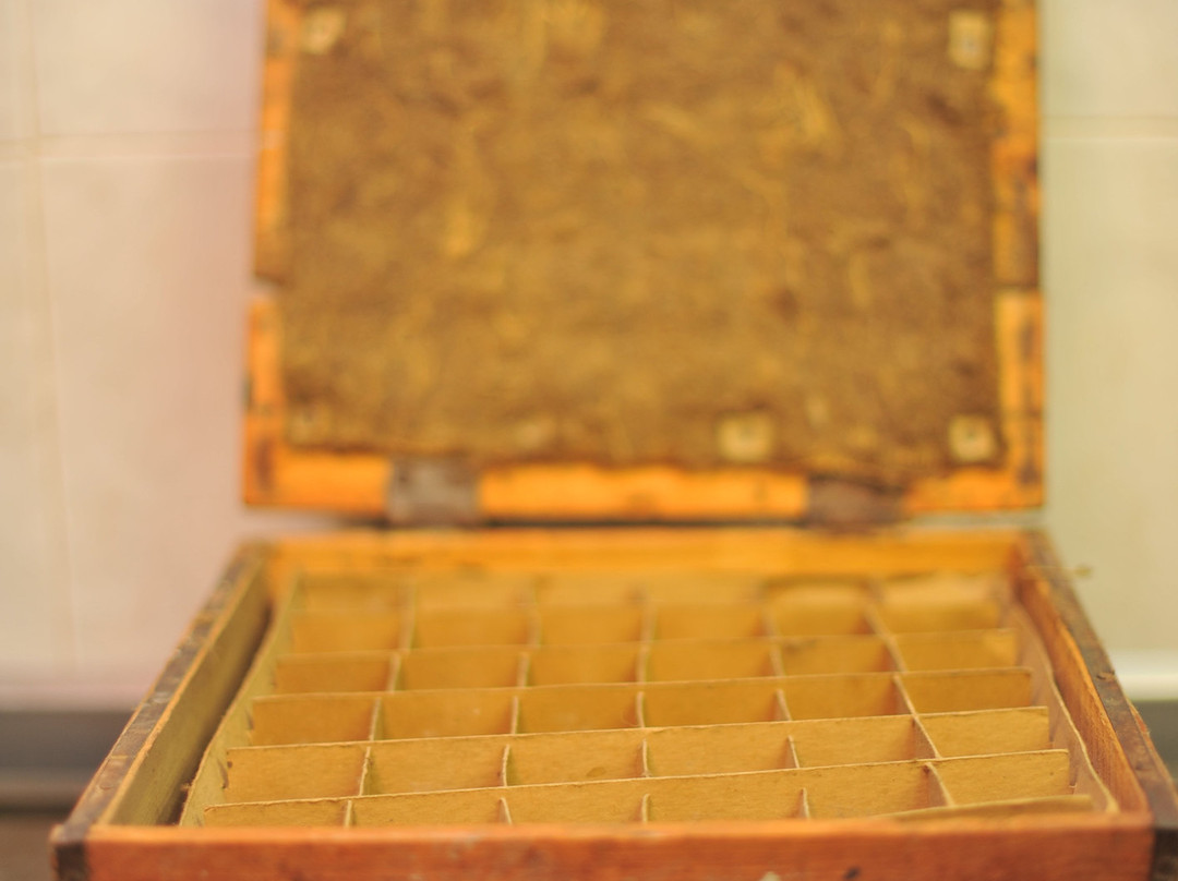 Lord Somerset Guest House主图