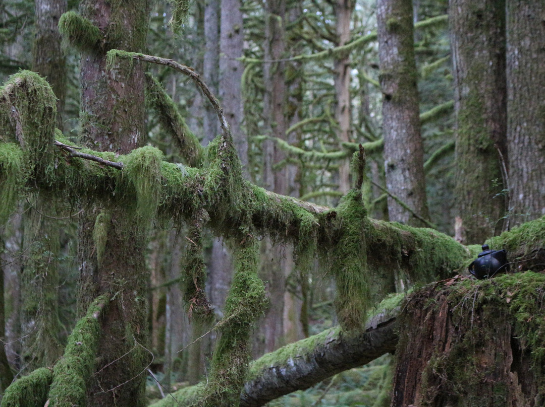 Teapot Hill-Cultus Lake必去景点