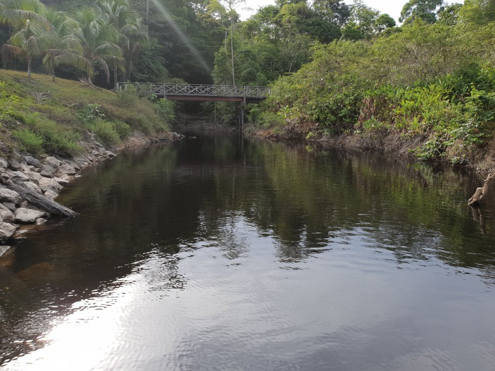 Crique Toussaint-Sinnamary必去景点