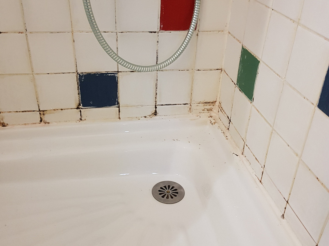 Hôtel Au Cerf主图