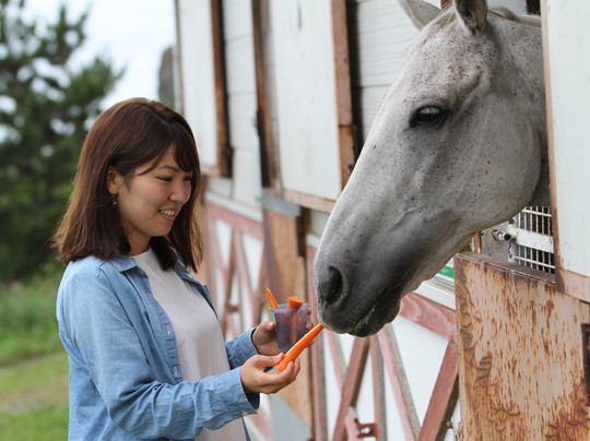 Niikappu Horoshiri Horse Riding Club-新冠町必去景点
