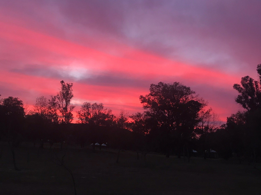 Parque Metropolitano de Guadalajara-Zapopan必去景点