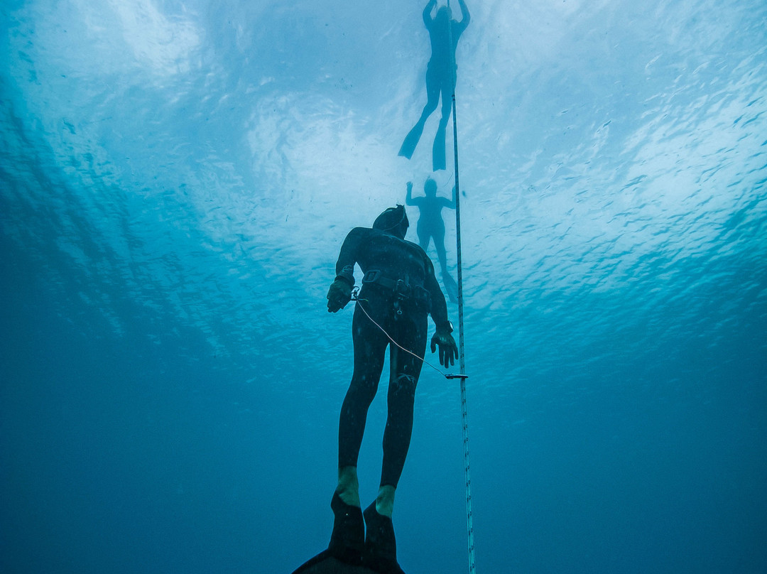 Medfish Freediving景点图片