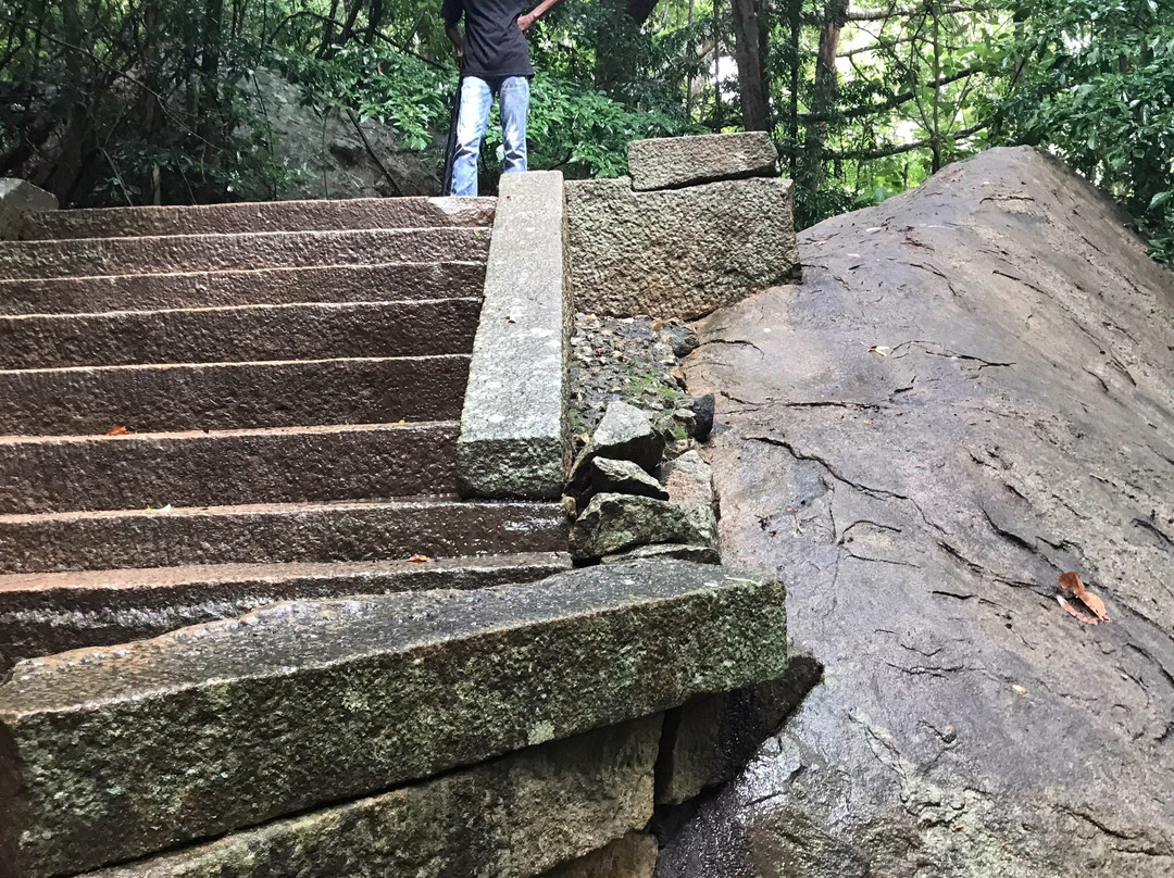 Budget Taxi in Sri Lanka-康提必去景点