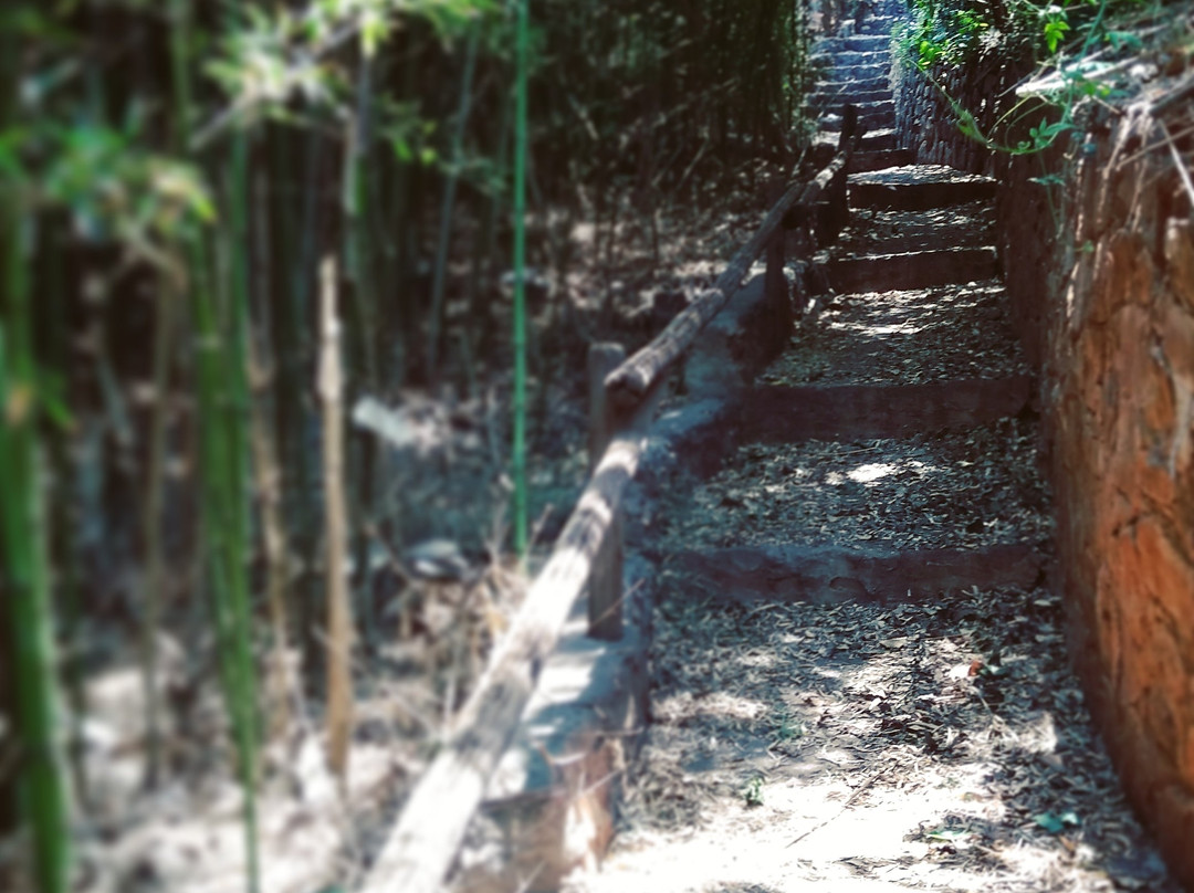 Bali At Scenic Haven Lodge主图