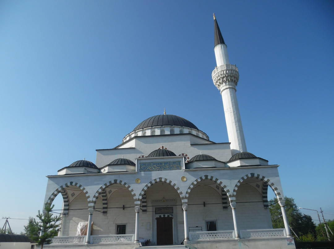 The Imam Ismail Al-Bukhari's Copper Mosque景点图片