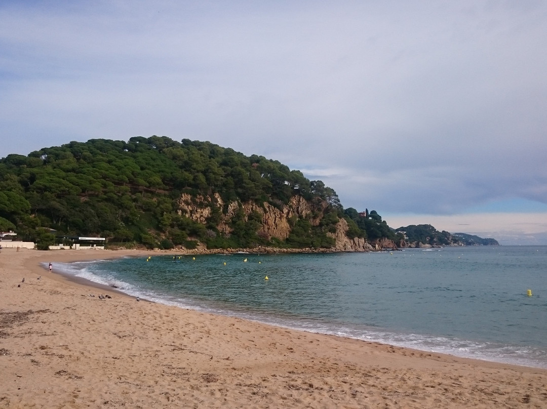 Playa de Santa Cristina景点图片