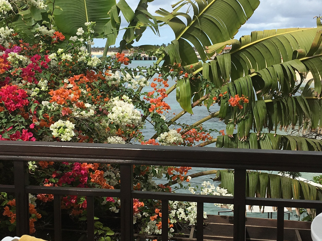 Odjo D'agua Hotel主图