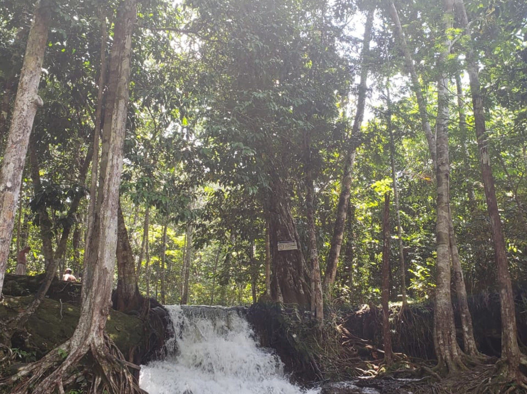 Cachoeira das Orquideas-Presidente Figueiredo必去景点