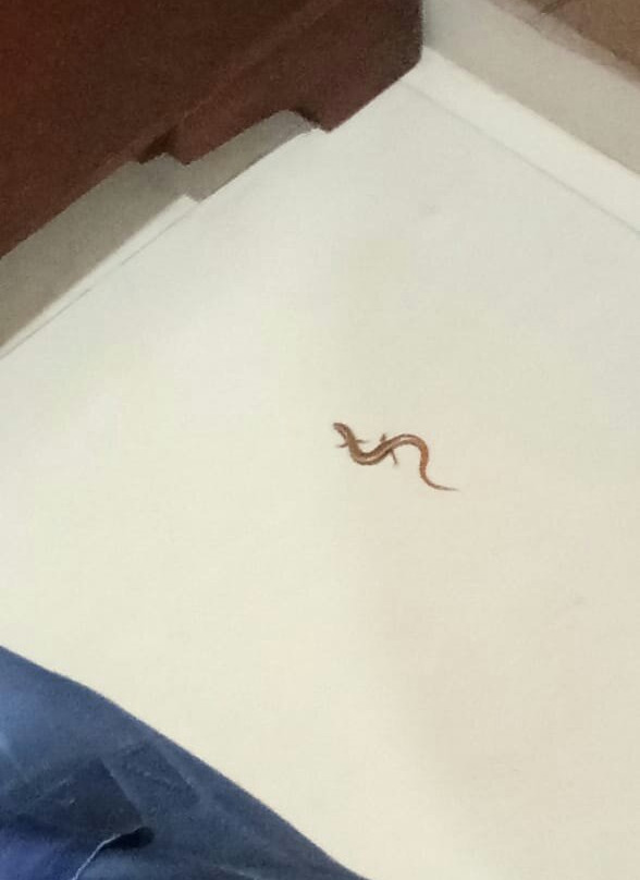 Hotel Heera Executive主图