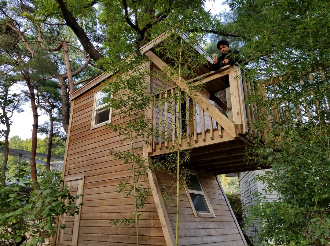 安城市餐馆和美食-Cafe & Vino - Rohs Goden