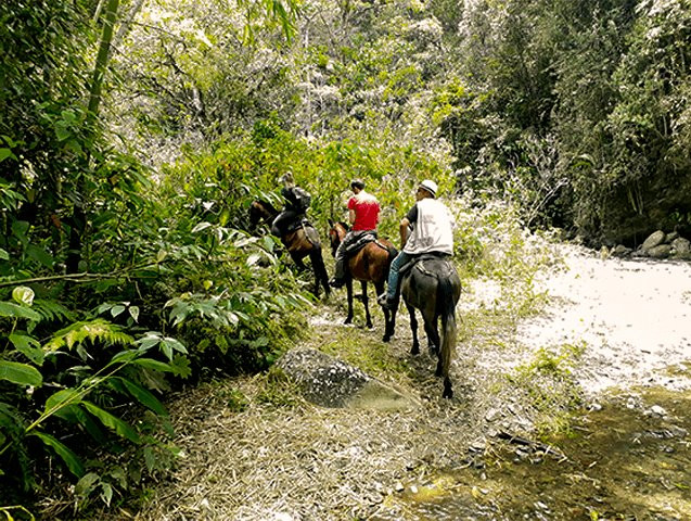 Camping Guaduales de la Floresta景点图片