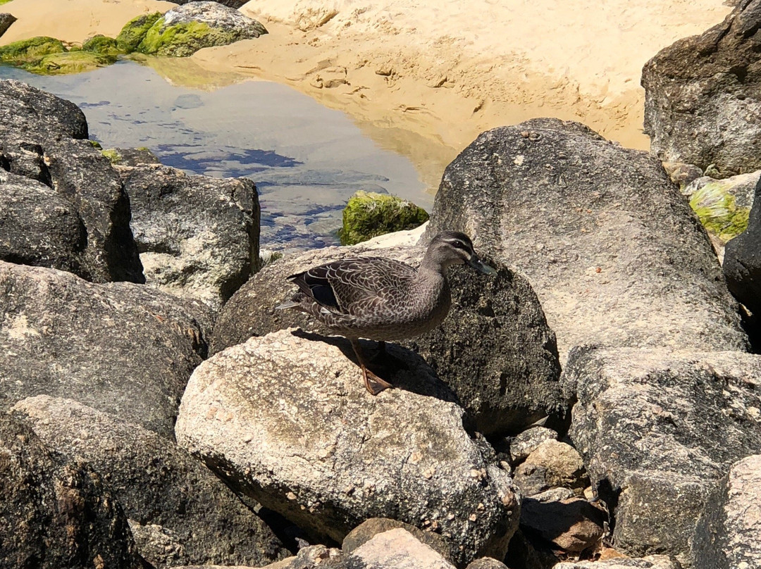Stilwell Bay-Abel Tasman National Park必去景点