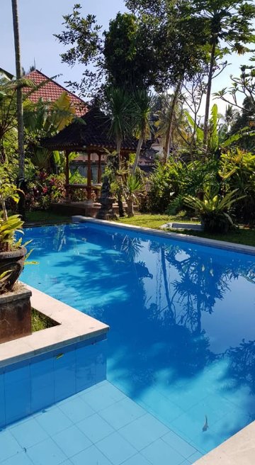 巴厘岛生态探险及度假中心-泳池