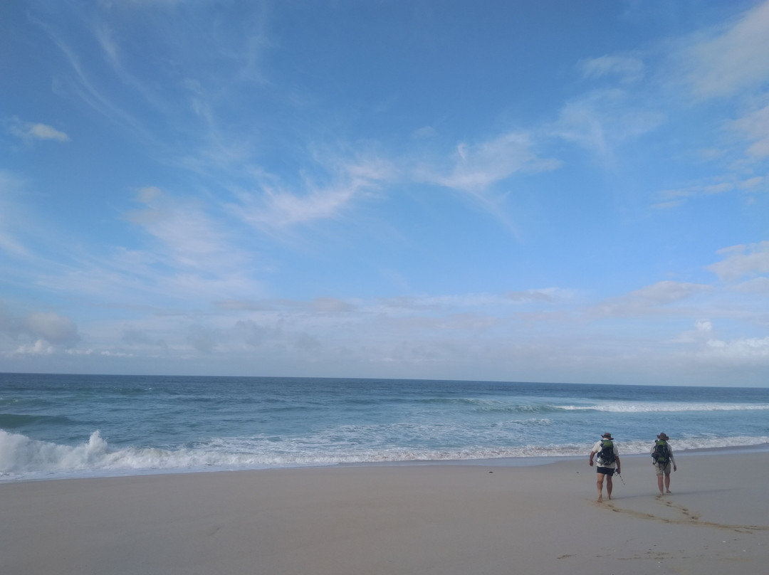 De Hoop Whale Trail-Bredasdorp必去景点