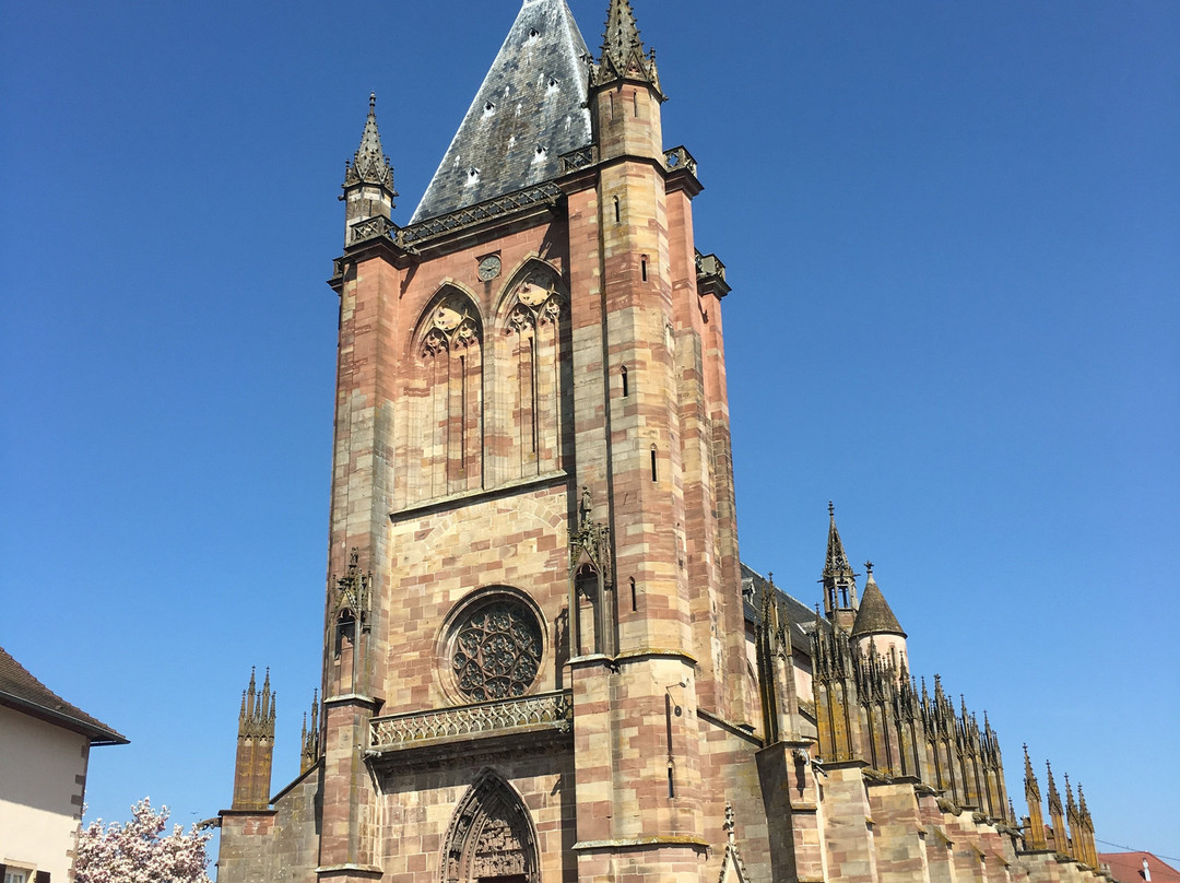 Collégiale Saint-Florent-Niederhaslach必去景点